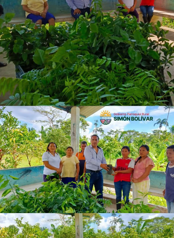 Entrega de Plantas para Promoción del Cuidado Ambiental en la Comunidad Wachansi Kucha
